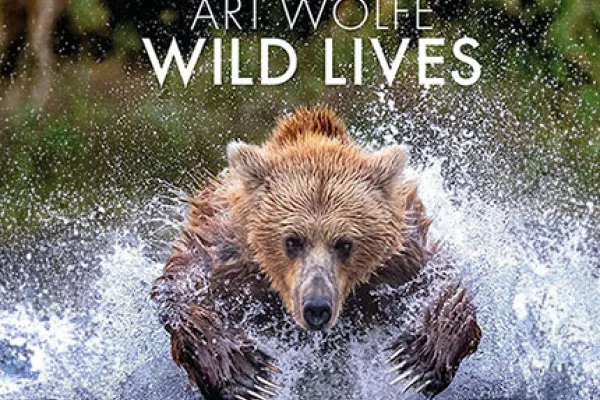 Wild Lives book cover with a huge bear leaping through the water with its ferocious claws extended.