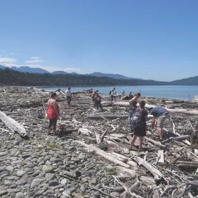 Students examining driftwood washed up on the shore.