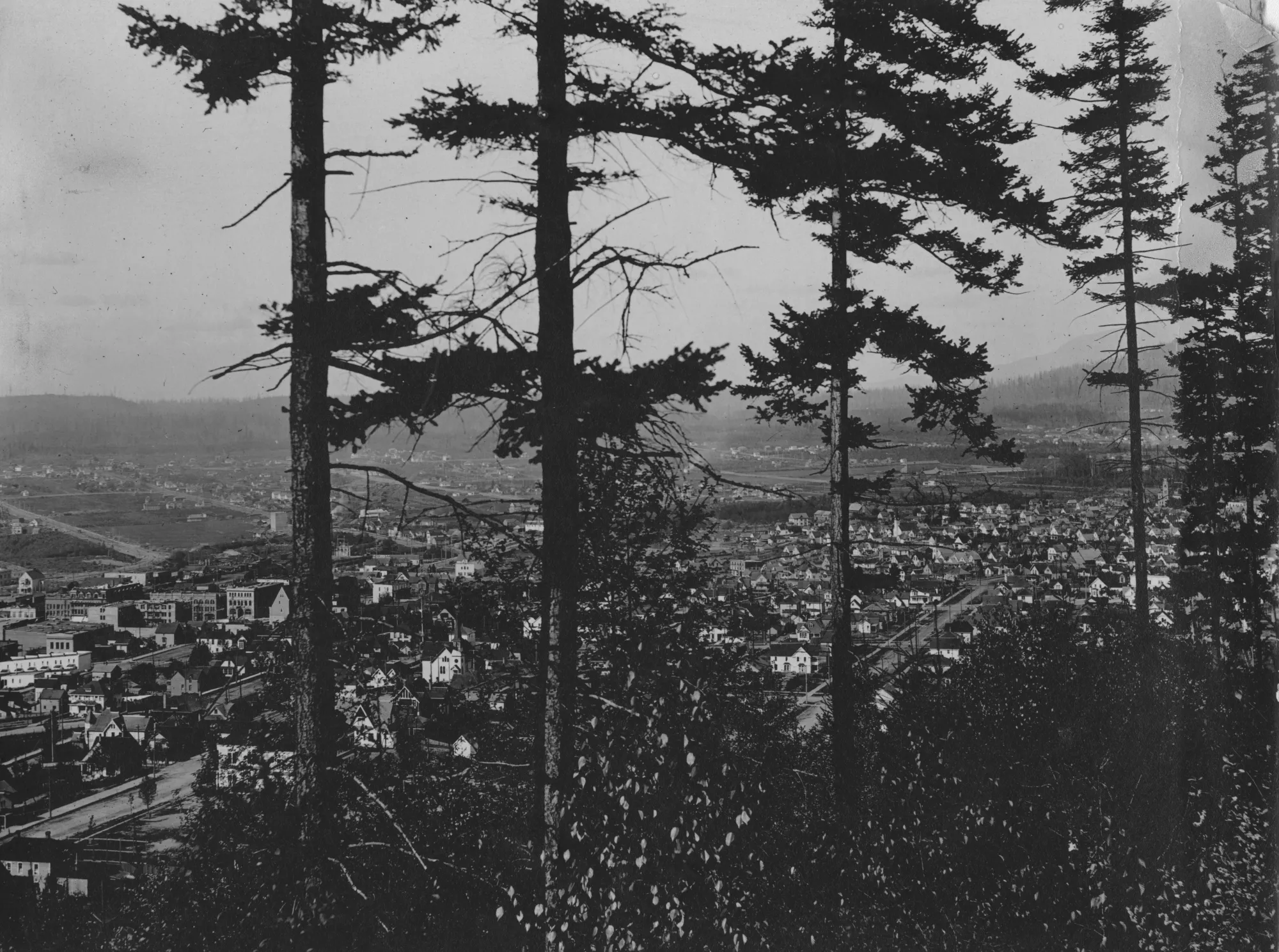 Black and white photo of the view of Bellingham from Sehome Hill. Trees are in the foreground with buildings and the bay in the distance.