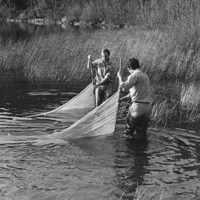 Students hold a net on the edge of a body of water